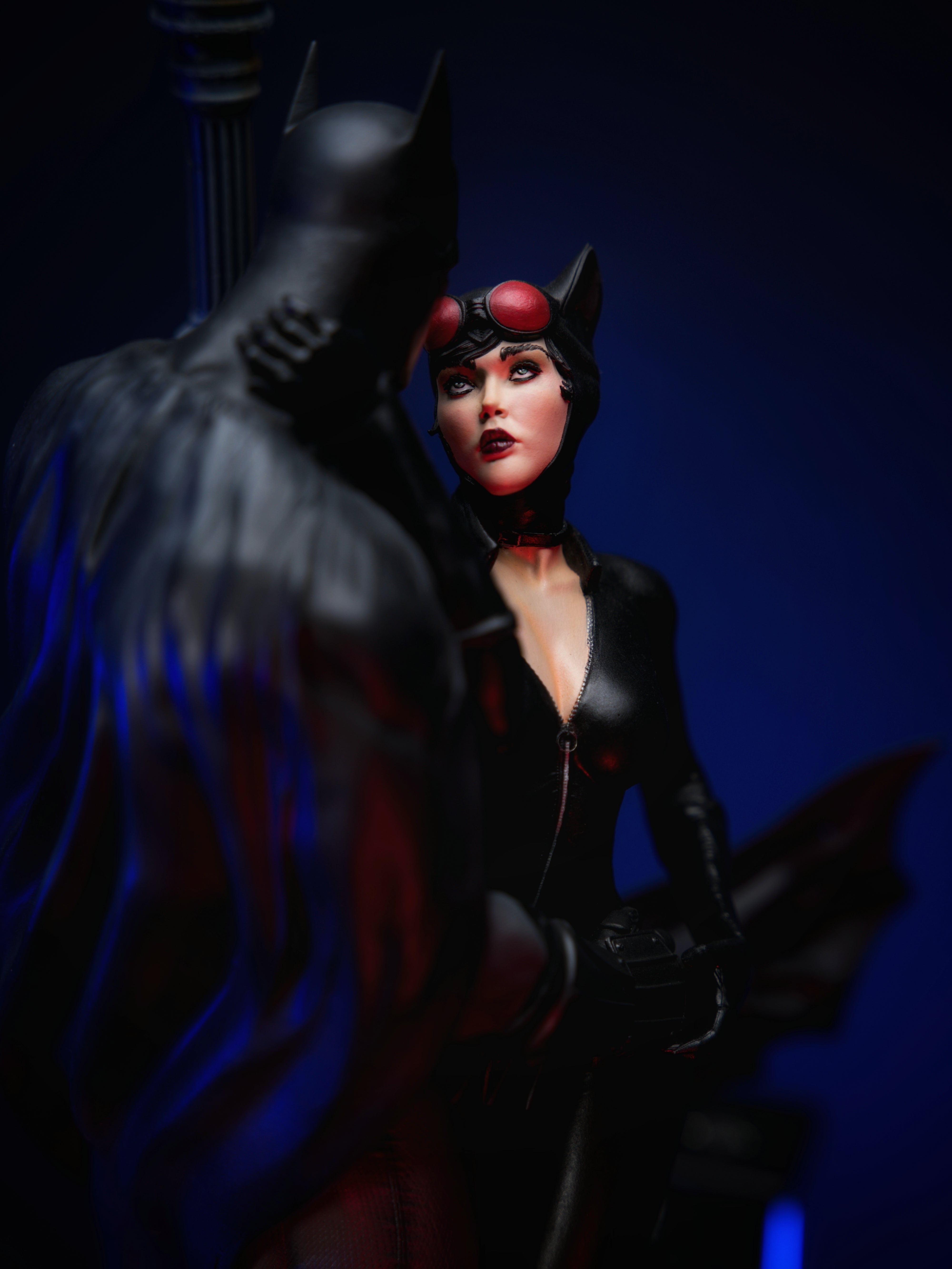 Batman & Catwoman – Shadows of Gotham Edition