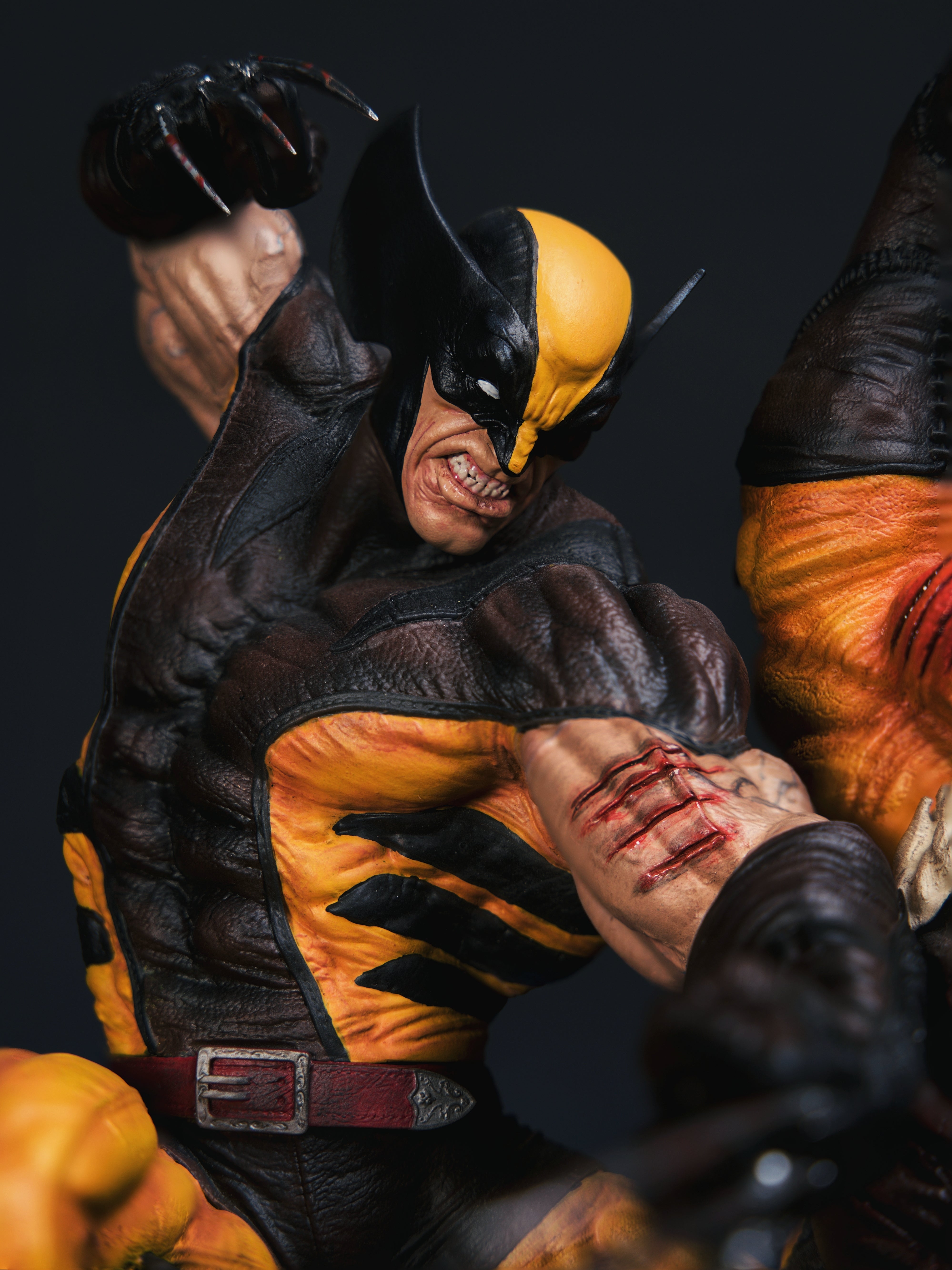 Wolverine vs Sabretooth Savage Rivalry – Eternal Fury Edition