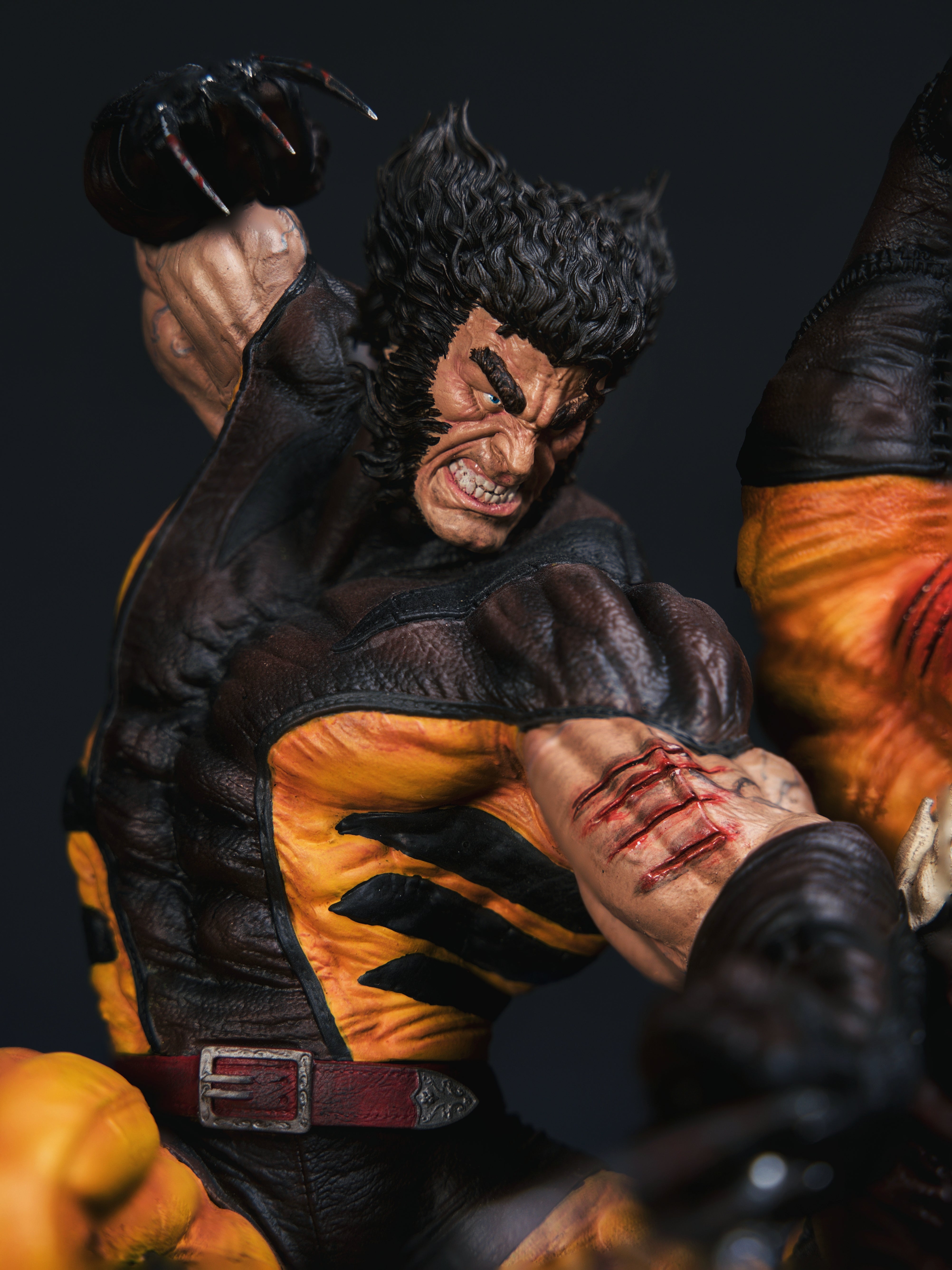 Wolverine vs Sabretooth Savage Rivalry – Eternal Fury Edition