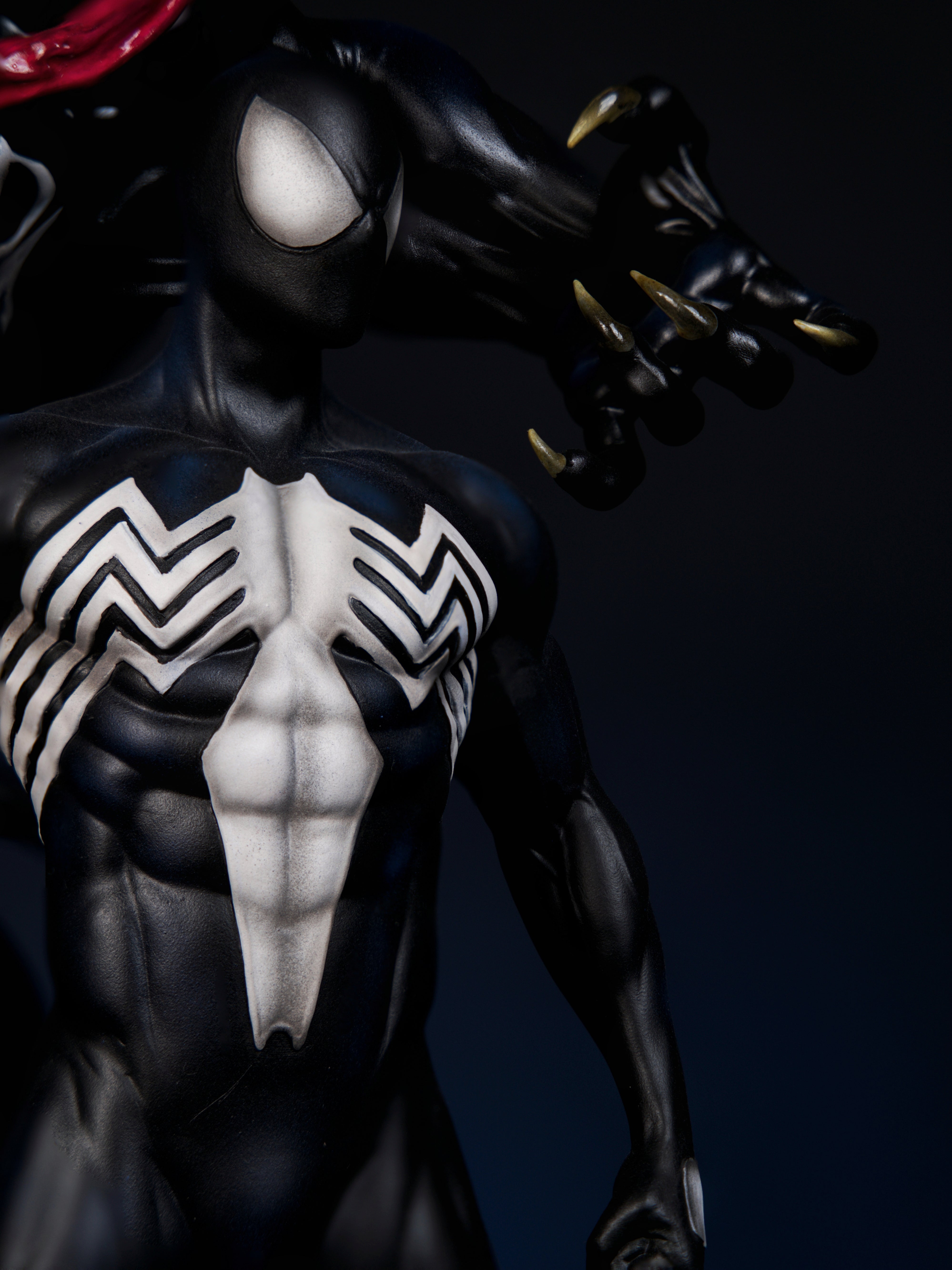 Venom & Spider-Man – Symbiotic Showdown Edition