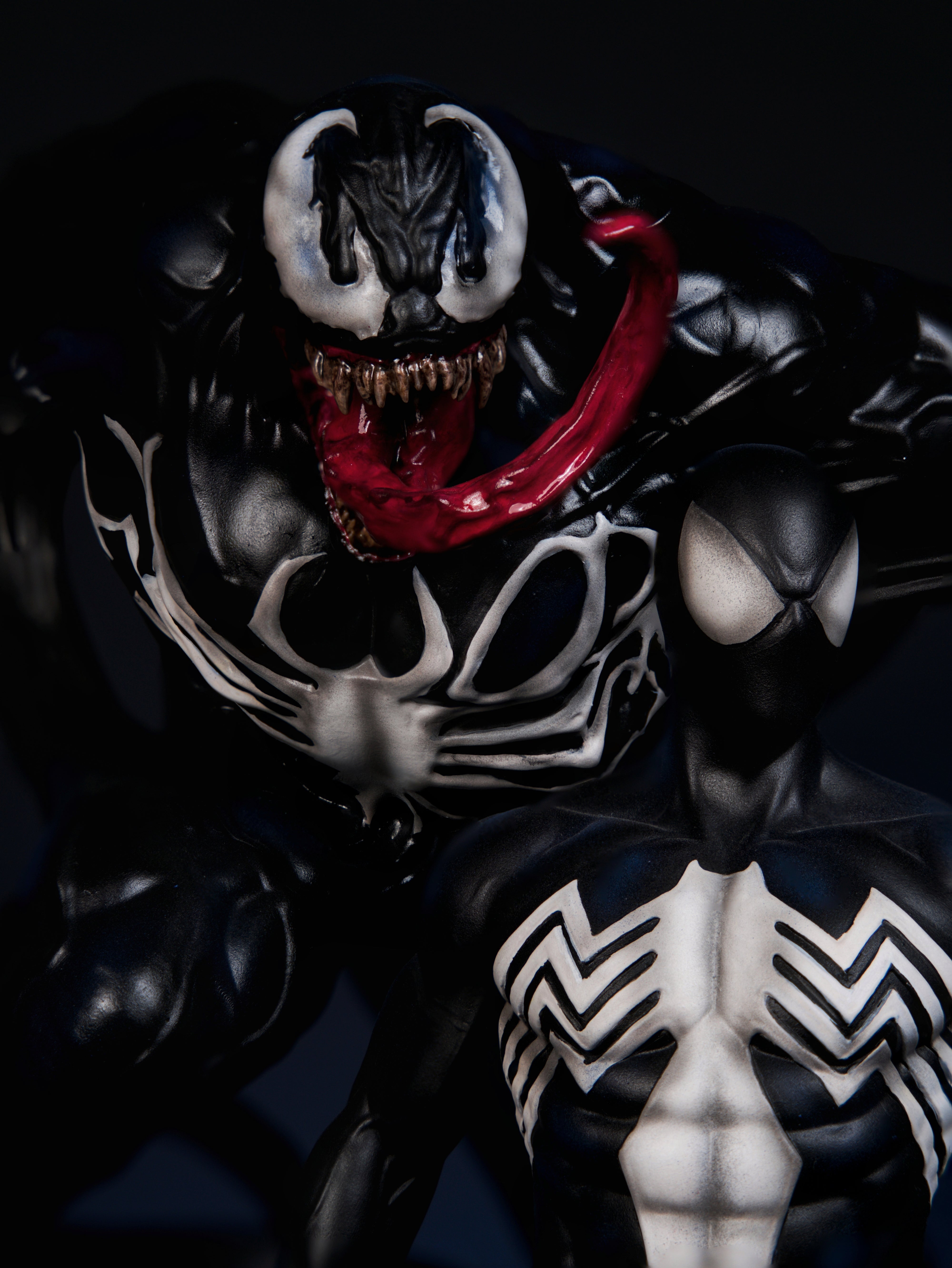 Venom & Spider-Man – Symbiotic Showdown Edition